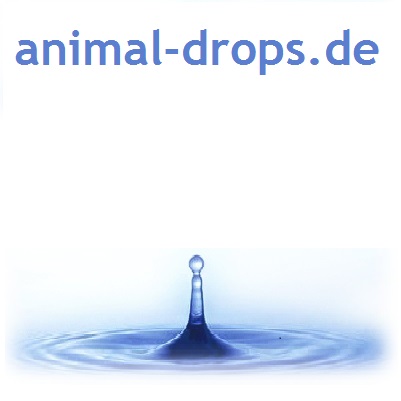 animaldrops